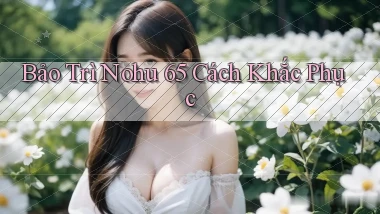 bảo trì nohu 65 cách khắc phục