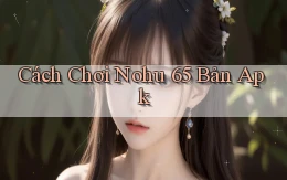 cách chơi nohu 65 bản apk