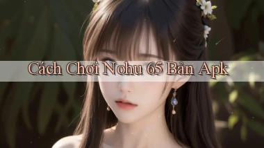 cách chơi nohu 65 bản apk