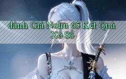 đánh giá nohu 65 kết quả xổ số