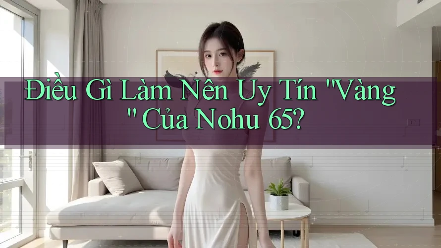 Điều Gì Làm Nên Uy Tín “Vàng” Của Nohu 65?