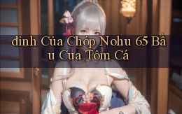đỉnh của chóp nohu 65 bầu cua tôm cá