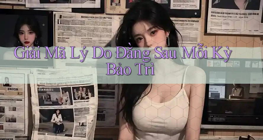 Giải Mã Lý Do Đằng Sau Mỗi Kỳ Bảo Trì Giải Mã Lý Do Đằng Sau Mỗi Kỳ Bảo Trì