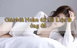 giải mã nohu 65 dữ liệu bóng đá