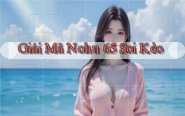 giải mã nohu 65 soi kèo