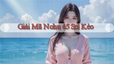giải mã nohu 65 soi kèo