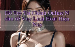 hỗ trợ tài chính online nohu 65 vay linh hoạt hiện nay