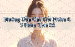 hướng dẫn chi tiết nohu 65 phân tích số