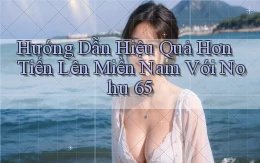 hướng dẫn hiệu quả hơn tiến lên miền nam với nohu 65