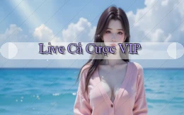 Live Cá cược VIP