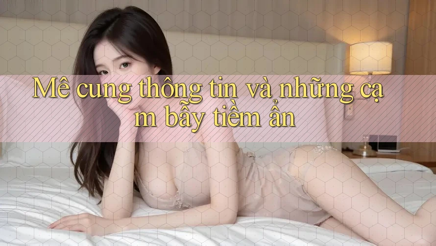 Mê cung thông tin và những cạm bẫy tiềm ẩn Mê cung thông tin và những cạm bẫy tiềm ẩn