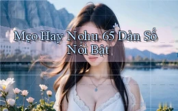 mẹo hay nohu 65 dàn số nổi bật