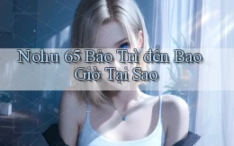 nohu 65 bảo trì đến bao giờ tại sao