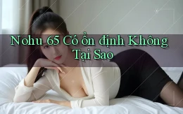 nohu 65 có ổn định không tại sao
