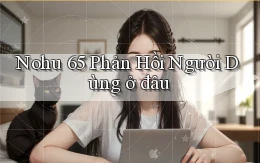 nohu 65 phản hồi người dùng ở đâu