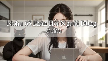 nohu 65 phản hồi người dùng ở đâu