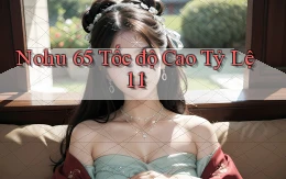 nohu 65 tốc độ cao tỷ lệ 1：1