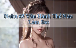 nohu 65 vận hành thế nào làm sao