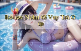review nohu 65 vay trả góp