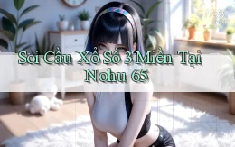 soi cầu xổ số 3 miền tại nohu 65