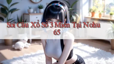 soi cầu xổ số 3 miền tại nohu 65