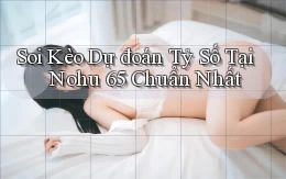 soi kèo dự đoán tỷ số tại nohu 65 chuẩn nhất
