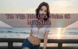 tải việt hóa của nohu 65 mới nhất