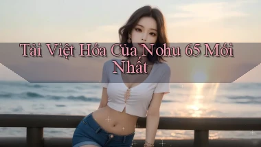tải việt hóa của nohu 65 mới nhất
