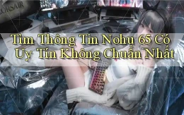 tìm thông tin nohu 65 có uy tín không chuẩn nhất