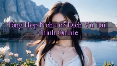 tổng hợp nohu 65 dịch vụ tài chính online