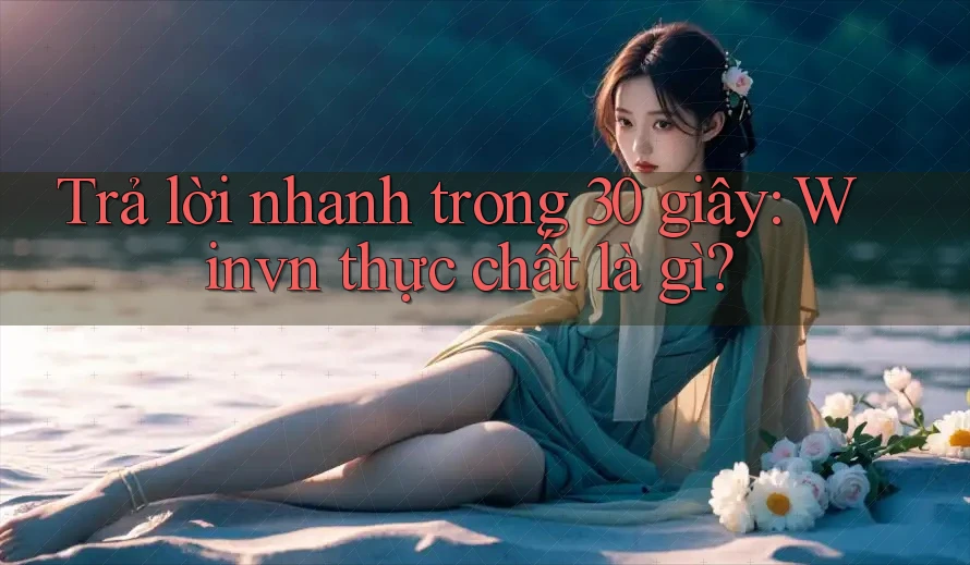 Trả lời nhanh trong 30 giây: Winvn thực chất là gì?