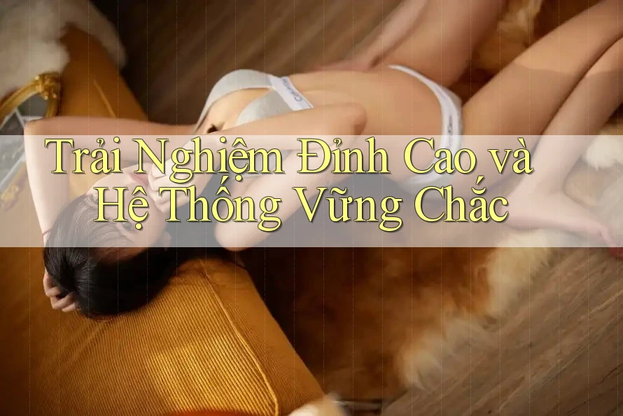 Trải Nghiệm Đỉnh Cao và Hệ Thống Vững Chắc Trải Nghiệm Đỉnh Cao và Hệ Thống Vững Chắc
