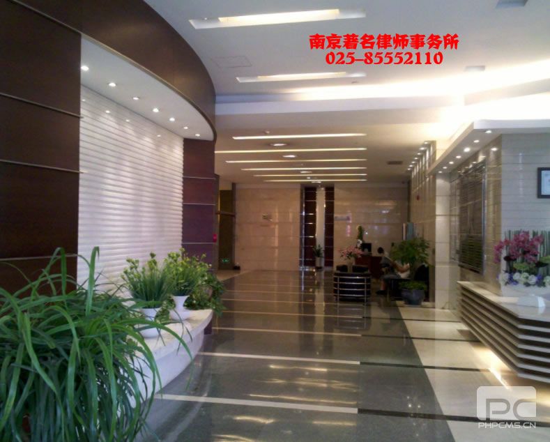 龙珠直播排名